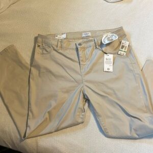 Curve Appeal Minimalist Jegging